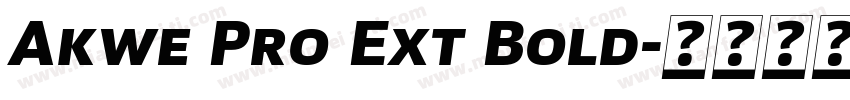 Akwe Pro Ext Bold字体转换